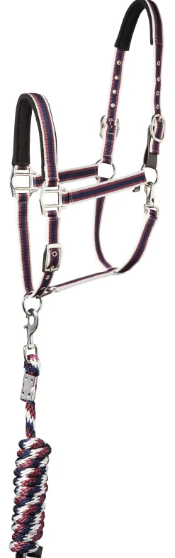 Suffolk™ Padded Striped Breakaway Halter & Lead