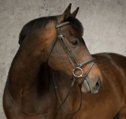 Suffolk™ Single Crown Flash Bridle