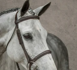 Suffolk™ Single Crown Hunter Bridle