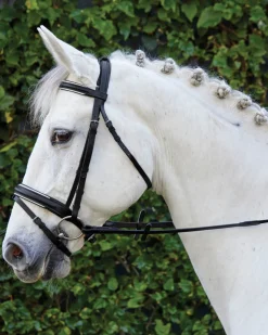Suffolk™ Single Crown Padded Dressage Bridle