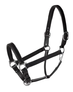 Suffolk™ Everyday Halter