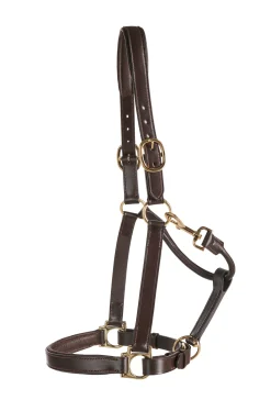 Suffolk™ Everyday Halter