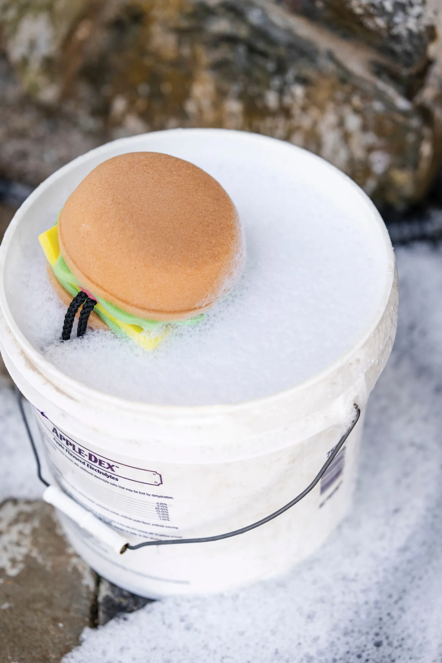 The Tack Hack Burger Body Sponge