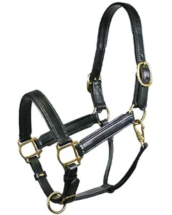 Tory Leather Company Padded Leather Halter