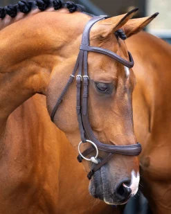 Velociti Lusso Ergonomic Curved Flash Bridle