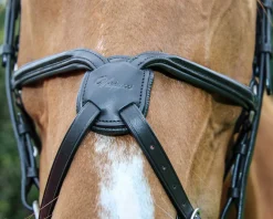Vespucci Square Raised Figure-8 Bridle