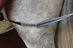 WeatherBeeta® ComFiTec™ Plus Dynamic II Standard Neck Lite Turnout