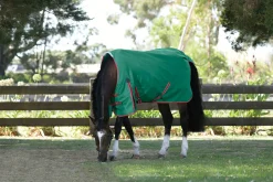 WeatherBeeta® ComFiTec™ Prelim Standard Neck Medium-Weight Turnout Blanket