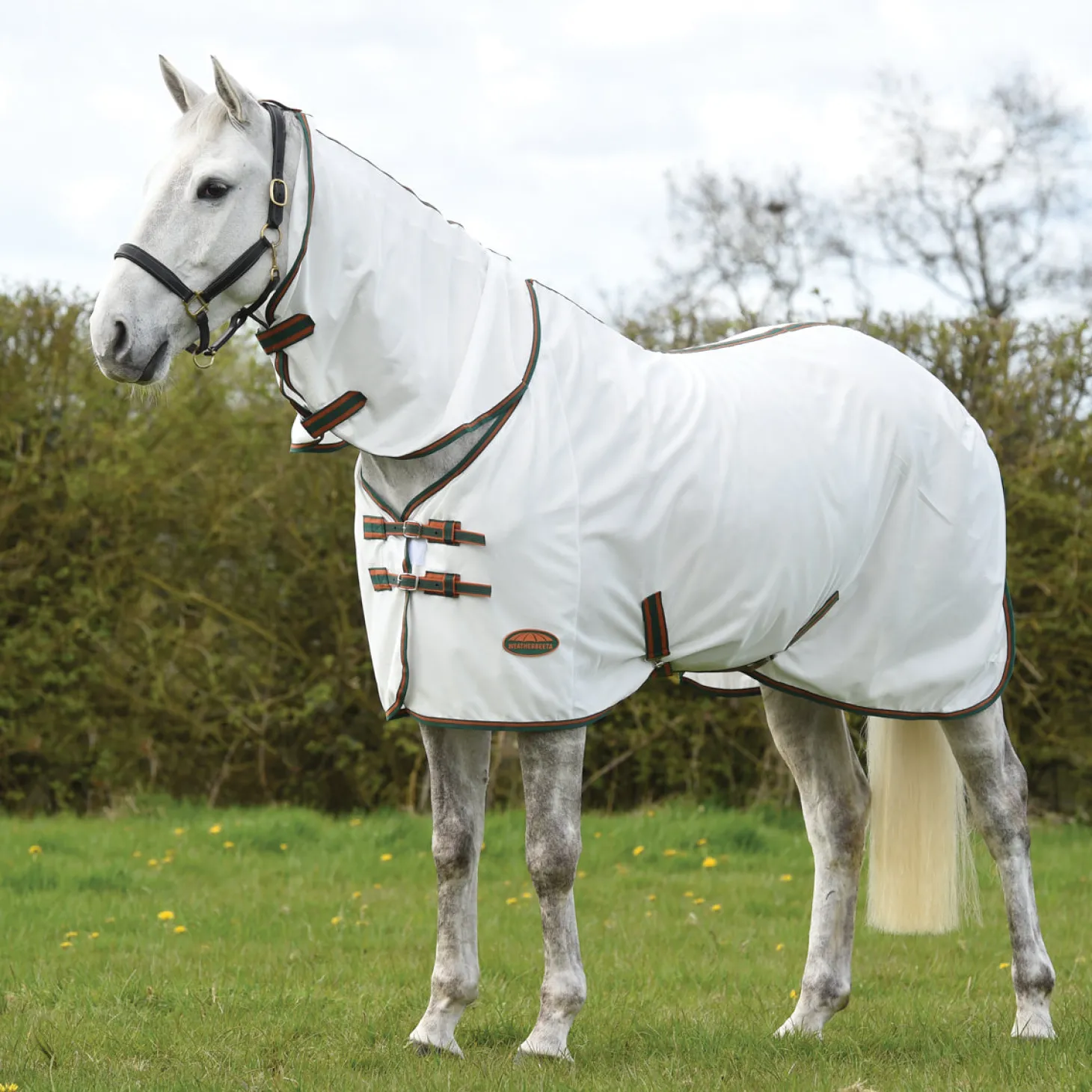 WeatherBeeta® ComFiTec™ Tyro Mesh Combo Neck Sheet