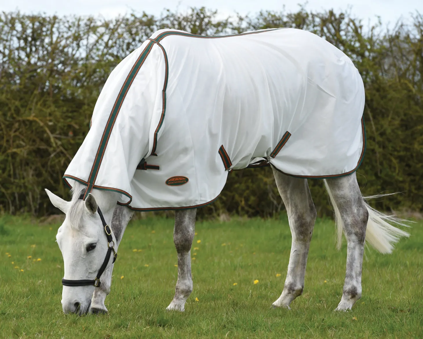 WeatherBeeta® ComFiTec™ Tyro Mesh Combo Neck Sheet