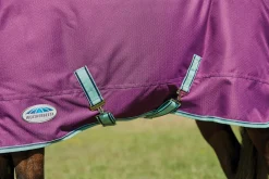 WeatherBeeta® Pony ComFiTec™ Premier Free II Standard Neck Lite Turnout