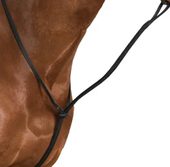 Wintec Standing Martingale