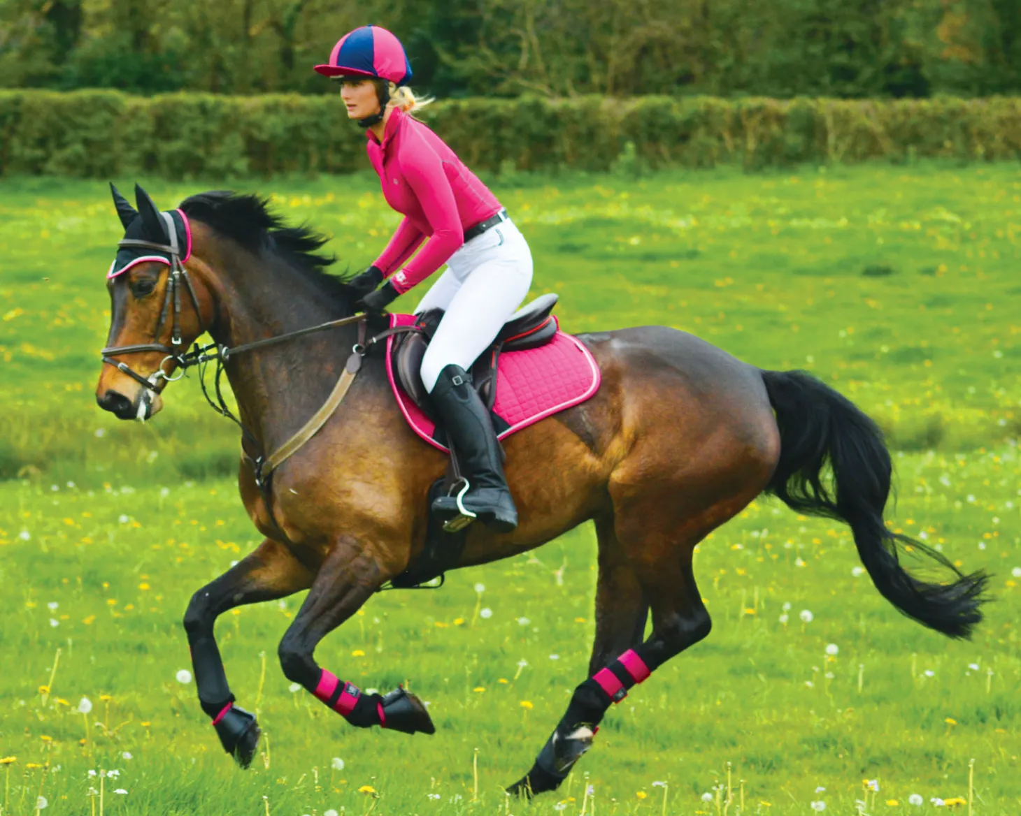 Woof Wear All-Purpose Boots